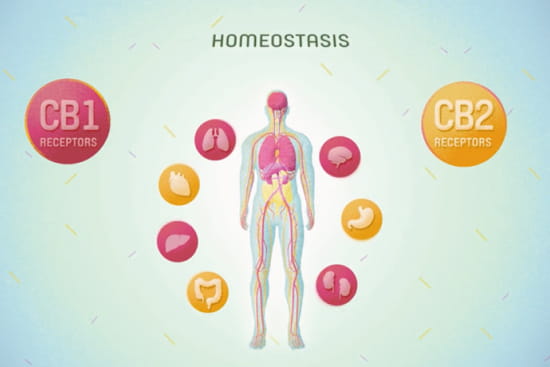 顔に手を置く女性