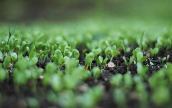 エステを受ける女性